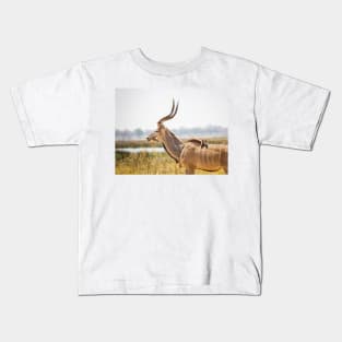 Greater kudu (Tragelaphus strepsiceros) with oxpeckers Kids T-Shirt